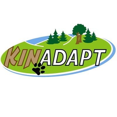 Kinadapt