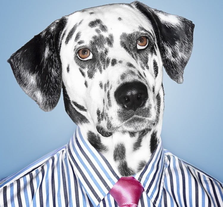 Avez-vous un client satisfait ou loyal?