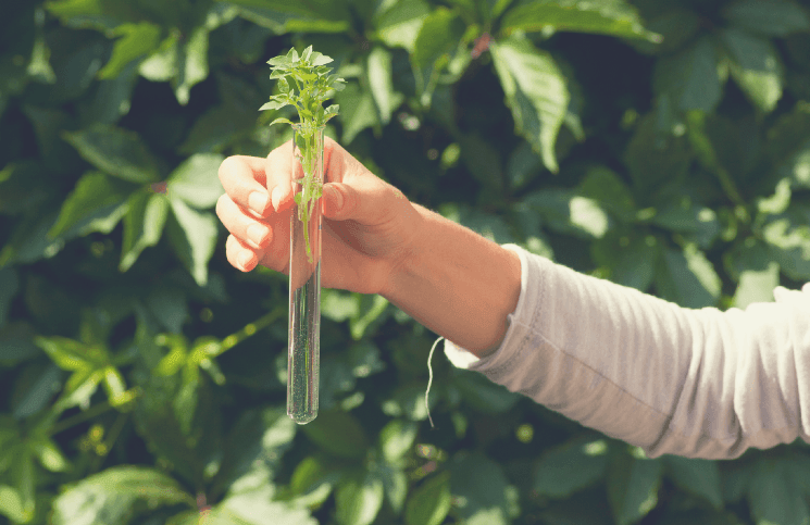Êtes-vous un biologiste de l’information?