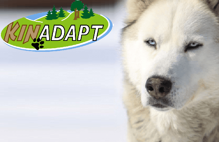 Atelier de formation en plein air – Devenir un leader efficace