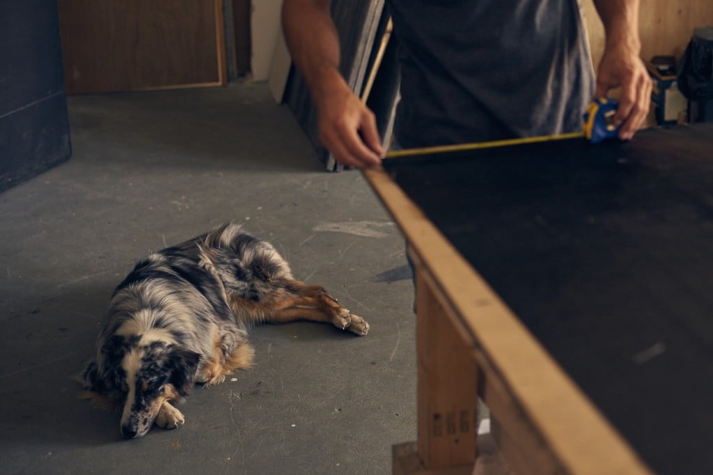 160909_ZenitBoards_02