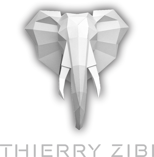 Logo de la compagnie Thierry Zibi, thérapeute — Revivre après un parent ou partenaire toxique