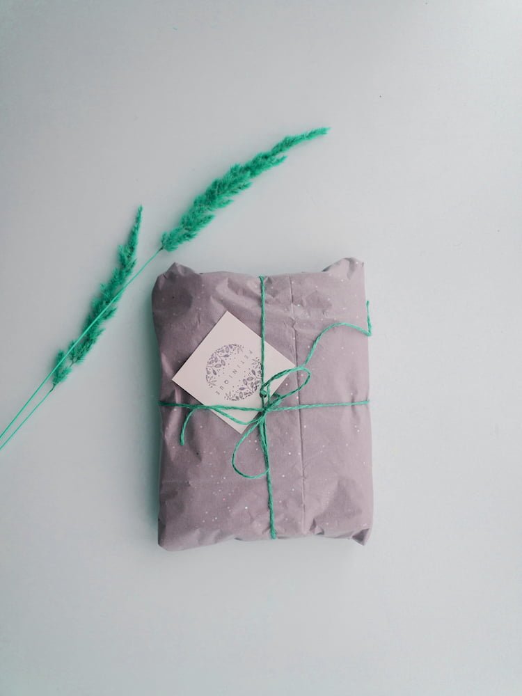 Paquet emballé avec de la corde et deux branches de blé posées à côté (frais de port et d'expédition)