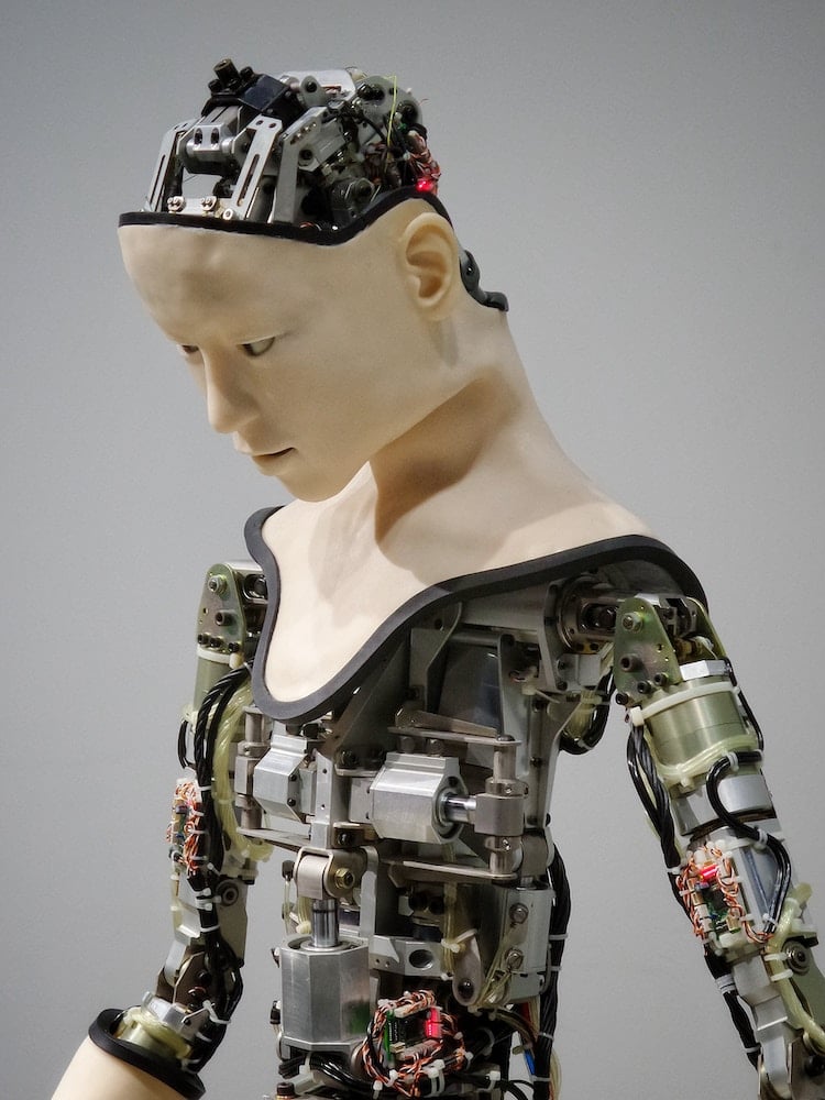 Prochaine décennie - Robot avec une vue sur la structure interne
